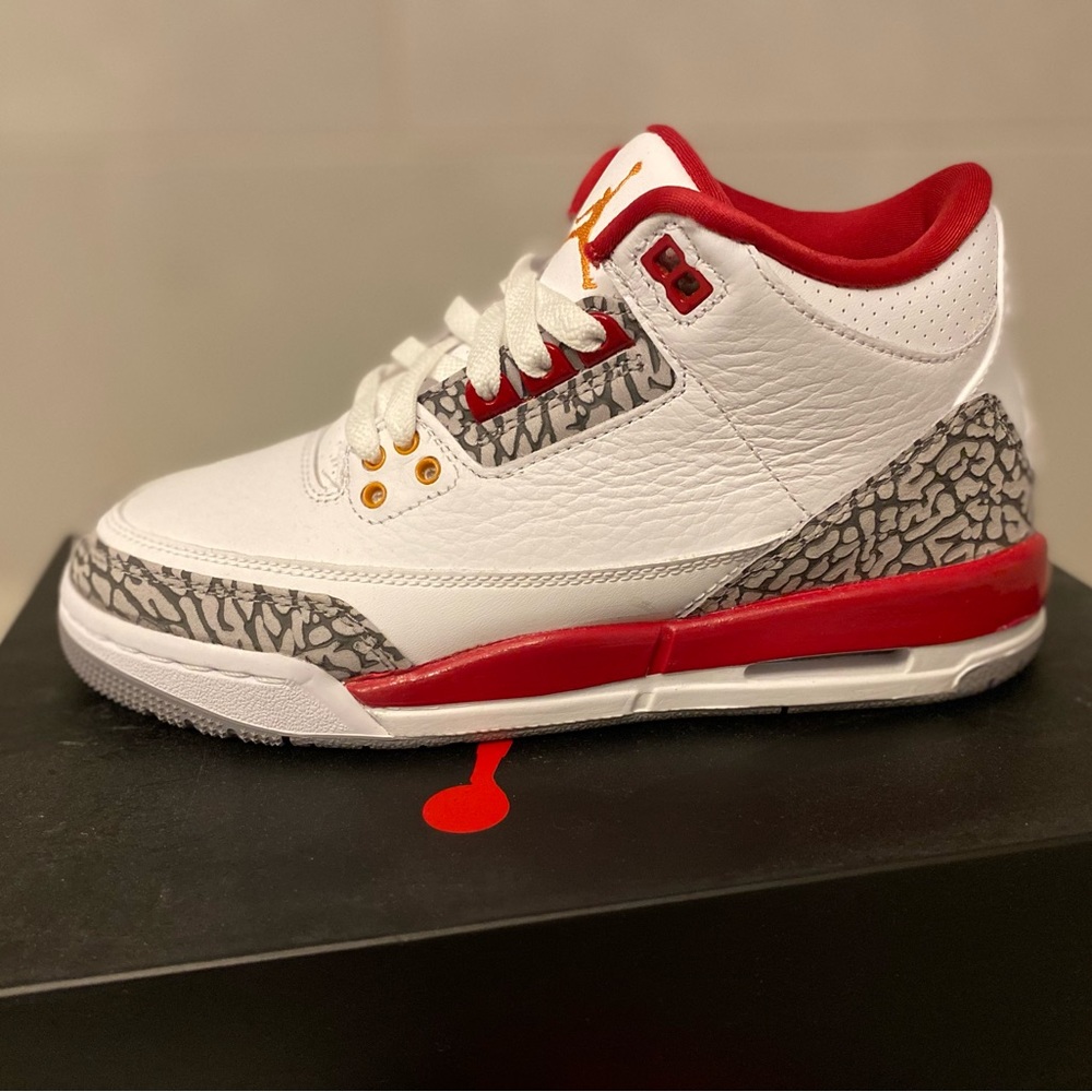 BRAND NEW, NEVER WORN Nike Air Jordan 3 Retro
